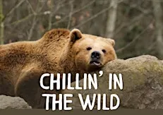 Chillin' in the Wild at Benjamin Branch