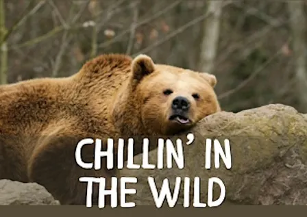 Chillin' in the Wild at Benjamin Branch