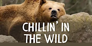 Chillin' in the Wild at Benjamin Branch