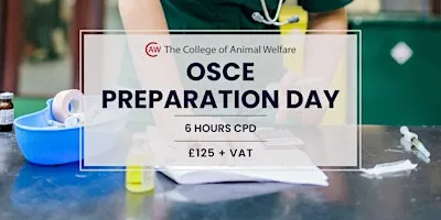OSCE Preparation Day
