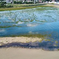 Guided Nature Walk