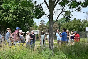 A²ZERO TREEducation Series: History of Trees in Ann Arbor