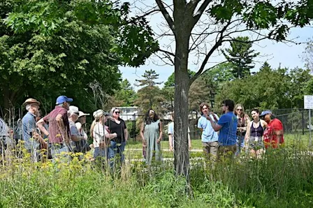 A²ZERO TREEducation Series: History of Trees in Ann Arbor