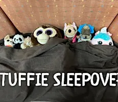 Stuffie Sleepover at Benjamin Branch