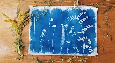 DIY Cyanotype Printing