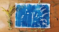 DIY Cyanotype Printing