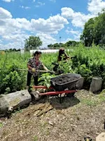 Herbalism Volunteer Hours