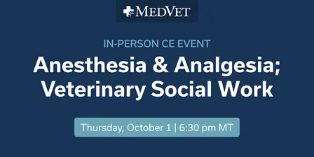 MedVet Salt Lake City:  Anesthesia & Analgesia; Veterinary Social Work