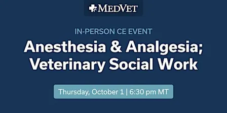 MedVet Salt Lake City:  Anesthesia & Analgesia; Veterinary Social Work