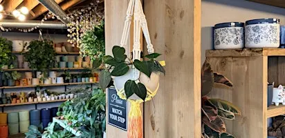 Dip Dye Plant Hanger