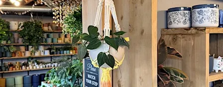 Dip Dye Plant Hanger