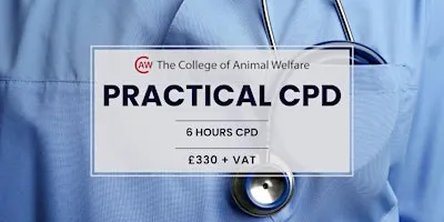 VETS: ECG Case Studies - Huntingdon