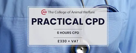 Veterinary Nursing: Haematological Cases - Huntingdon