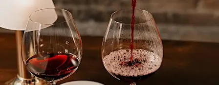 JOURNEY AROUND THE WORLD - Wine Tasting Experience