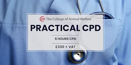 VETS: ECG Case Studies - Leeds