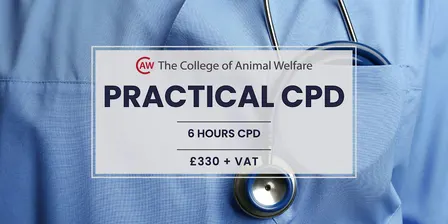 VETS: ECG Case Studies - Leeds