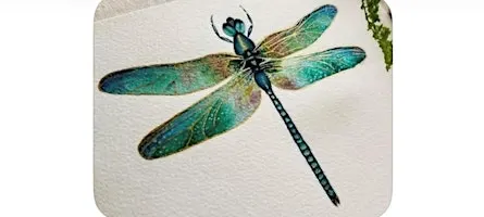 Paint a Dragonfly in Watercolours Sun 20th September Ideal for beginners.
