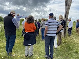 Down Farm Museum Visit and Walk and Talk