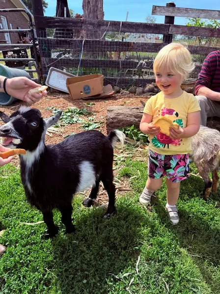 Mother’s Day Baby Goat & Bunny Bottle Feed & Farm Animal Social