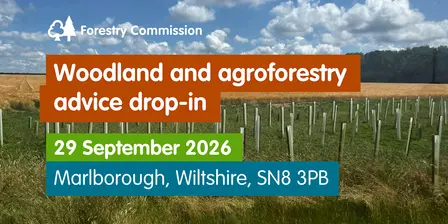 Woodland and agroforestry advice drop-in