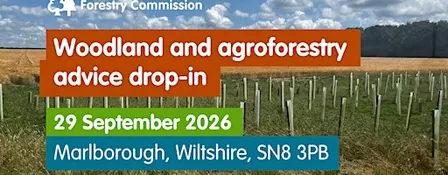 Woodland and agroforestry advice drop-in