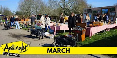 Ardingly Antiques Fair