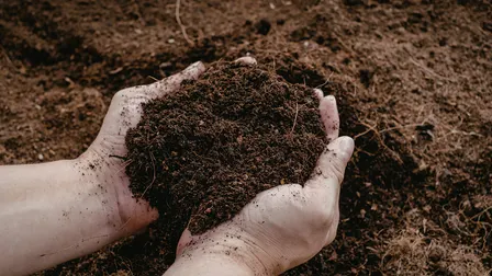 Healthy Soil for Healthy Crops