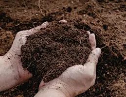 Healthy Soil for Healthy Crops