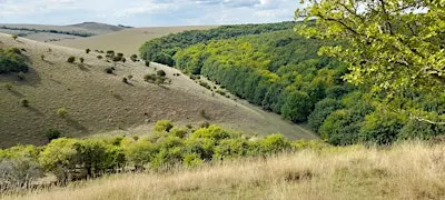 Wilder Melbury and Melbury Down