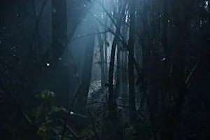 Haunted Hallows