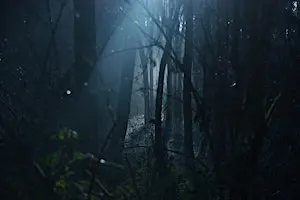 Haunted Hallows