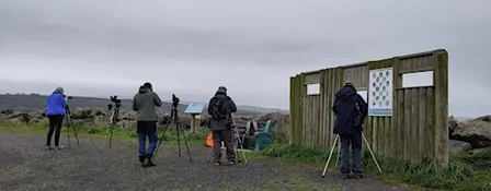 Autumn Birding in Ballykelly