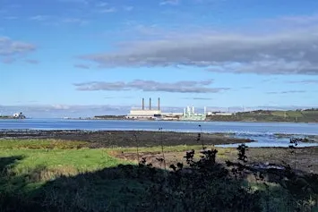 Autumn Birding in Larne
