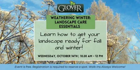 Weathering Winter: Landscape Care Essentials