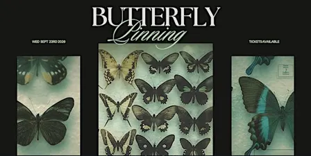 Butterfly Pinning Workshop