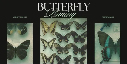 Butterfly Pinning Workshop