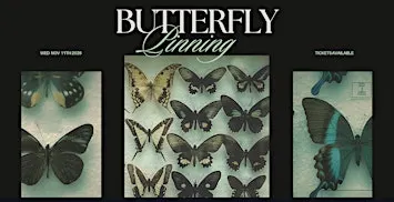 Butterfly Pinning Workshop