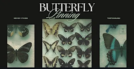Butterfly Pinning Workshop
