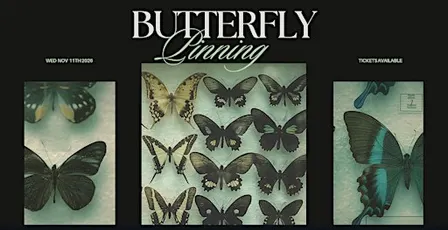 Butterfly Pinning Workshop