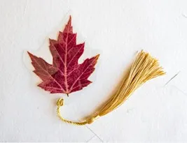 Atelier marque-pages en feuilles naturelles / Workshop: bladwijzers