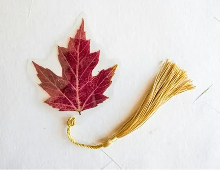 Atelier marque-pages en feuilles naturelles / Workshop: bladwijzers