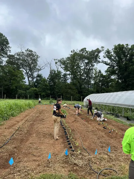 MKG Volunteer Day 9/25