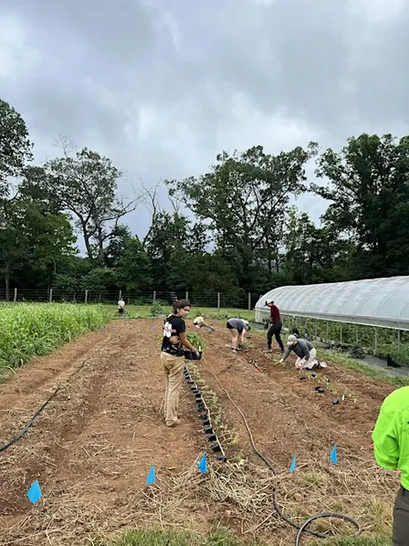MKG Volunteer Day 9/25