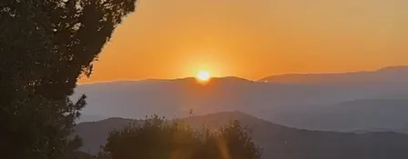 Rise & Shine Morning Yoga |  6-Week English Yoga Block