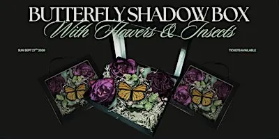 Butterfly Shadowbox Workshop
