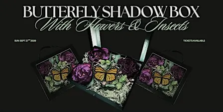Butterfly Shadowbox Workshop