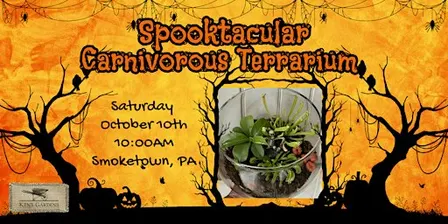 Spooktacular Carnivorous Terrarium (Smoketown Location)