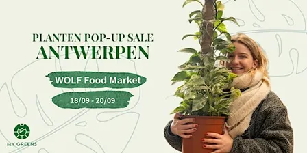 Planten Pop-Up Sale Antwerpen: Lekker groen!