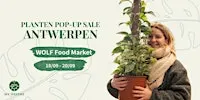 Planten Pop-Up Sale Antwerpen: Lekker groen!