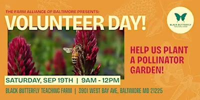 Black Butterfly Farm Volunteer Day (Sat)